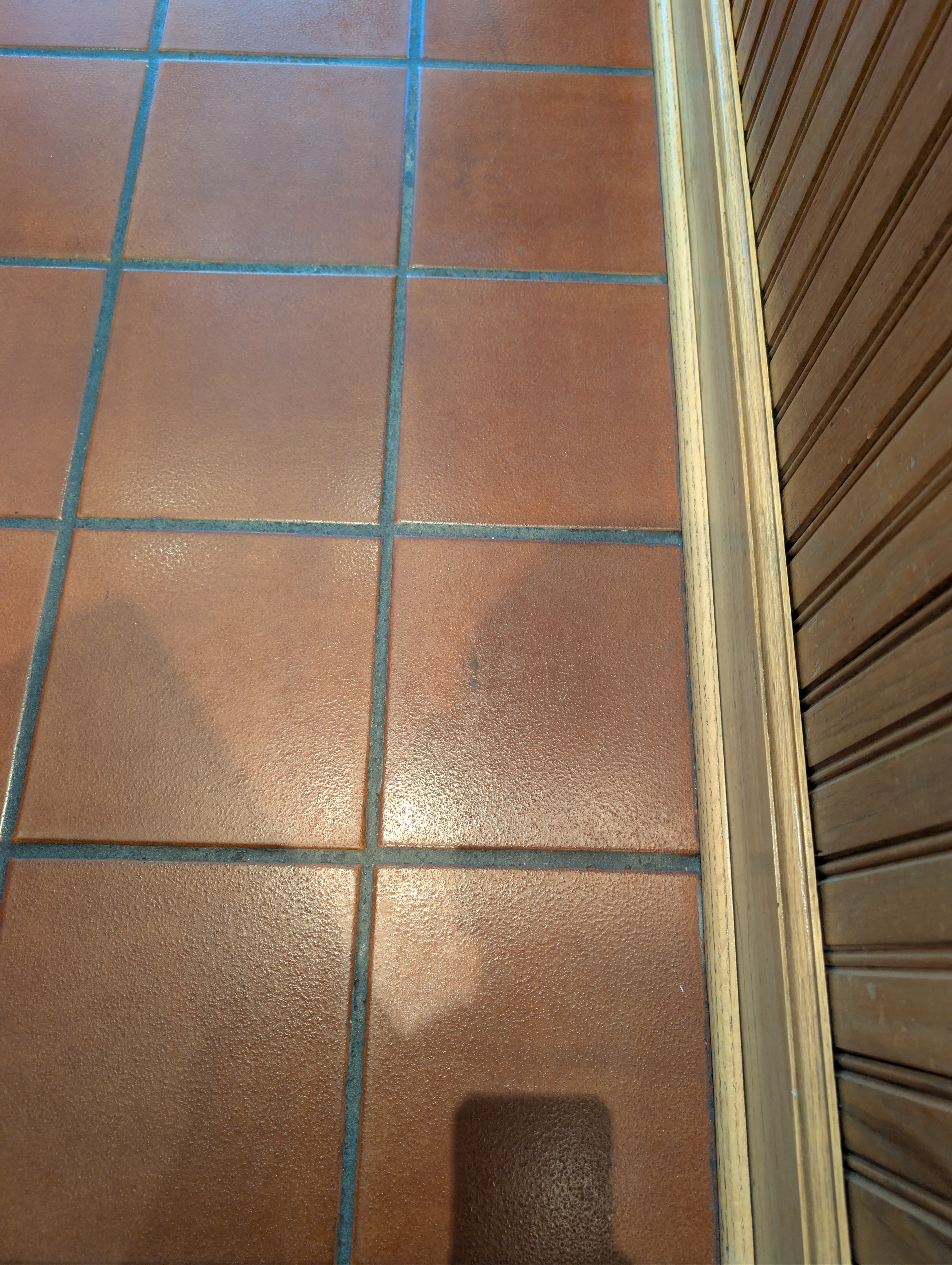 Bleach Stains and Soil on Quarry Tile - Plaza Hotel Building